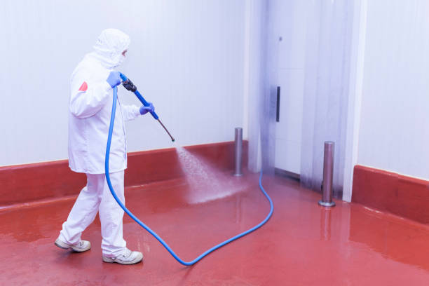 Best Roof Cleaning and Mildew Removal in Kechi, KS