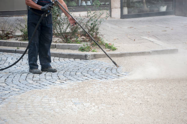 Best Window and Screen Pressure Cleaning in Kechi, KS